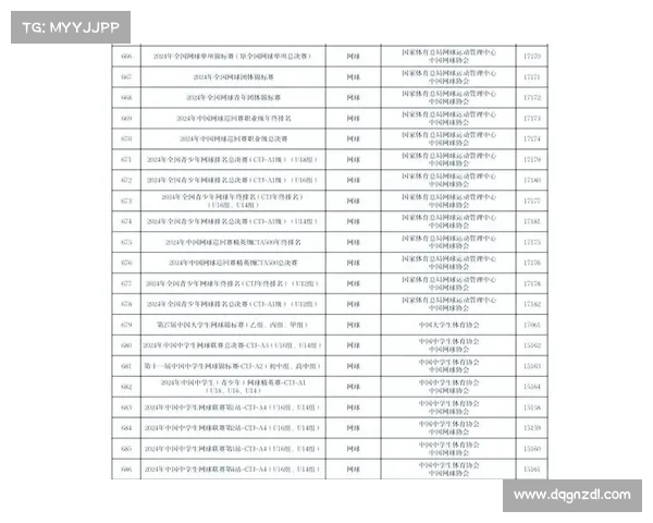 国内网球赛事,国内网球赛事级别及积分